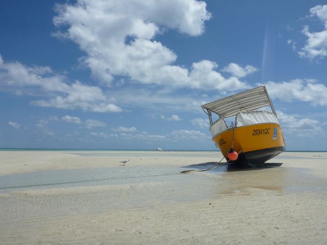 Low tide, Lizard Island
