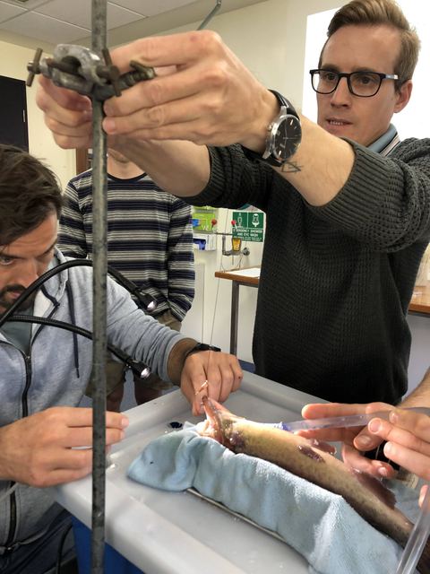 Colleague Aaron Schultz helping to refine the fish surgery bench