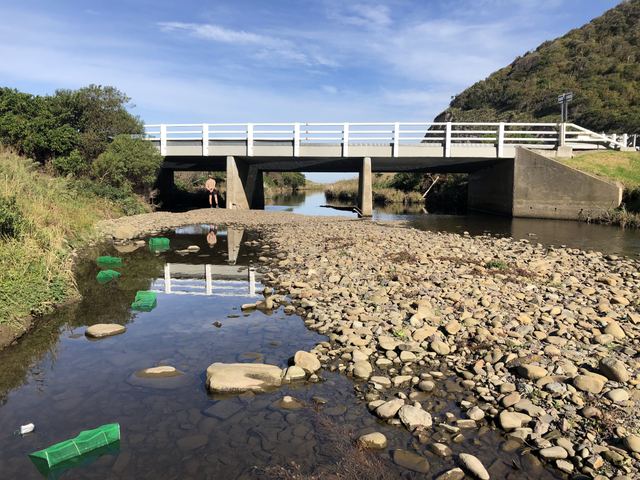 Using box traps to collect the local fish Galaxias maculatus