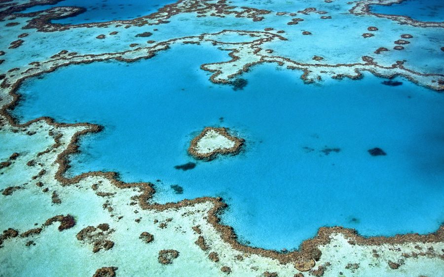 Underwater reef scene